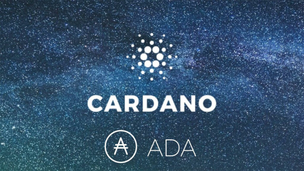 Cardano gặp lổ hỏng