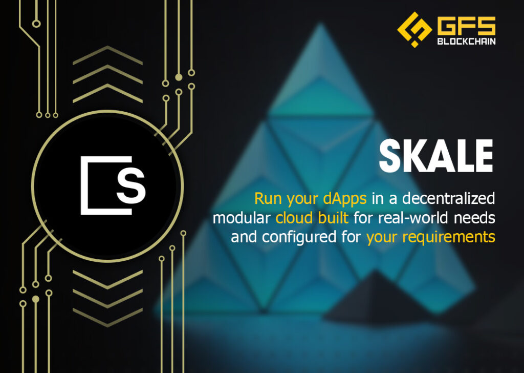 Tổng quan về dự án Skale Network