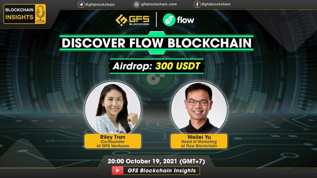 blockchain insights 13 discover flow blockchain