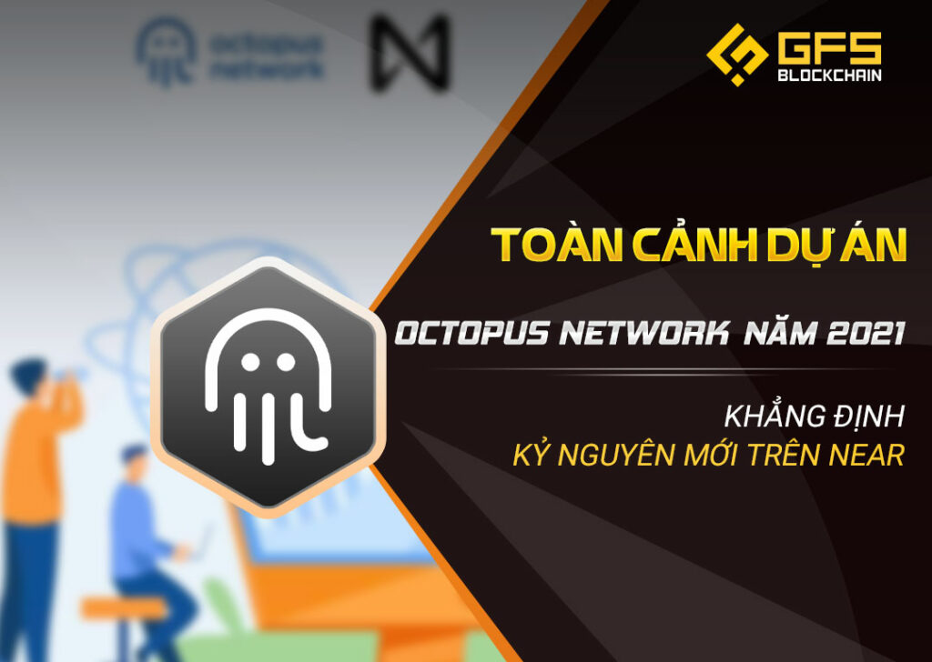 Toàn cảnh Octopus network