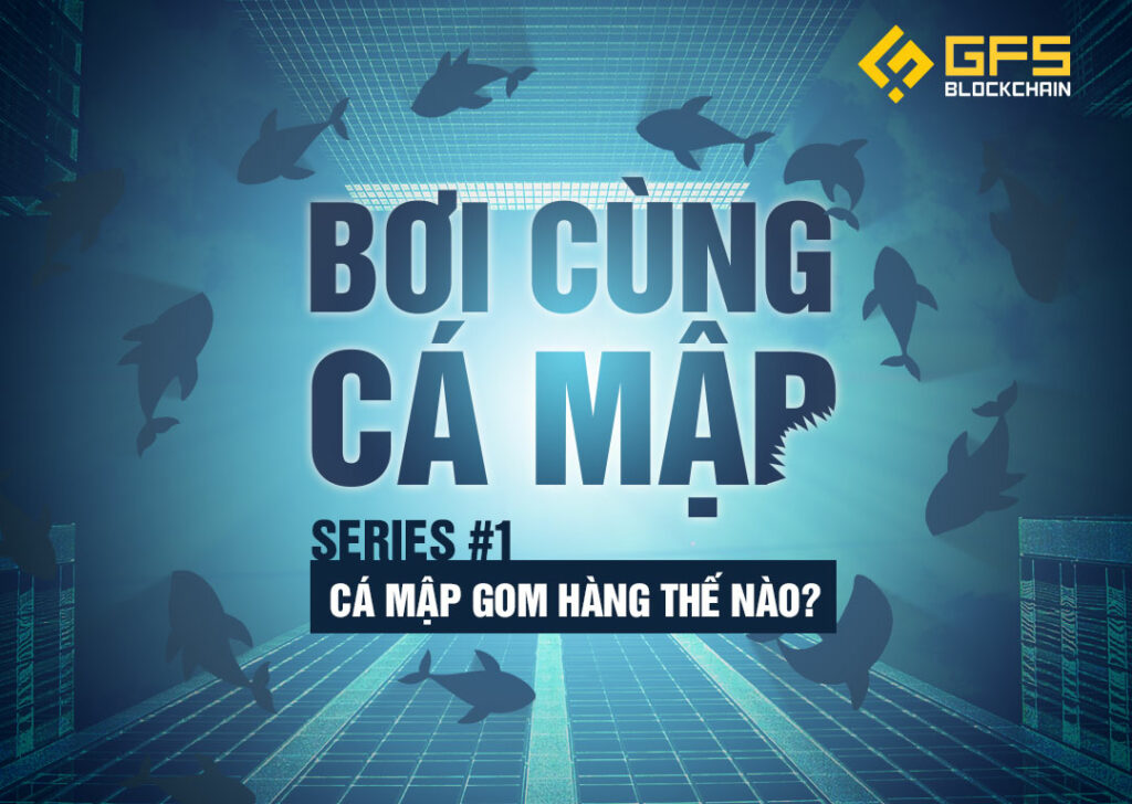 Boi cung ca map 1