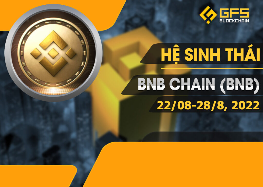 hesinhthaiBSC