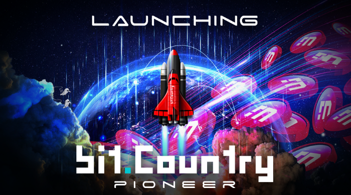 Pioneerbitcountry