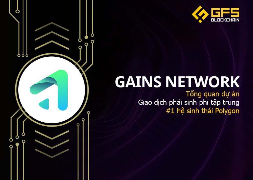 tổng quan gains network gns